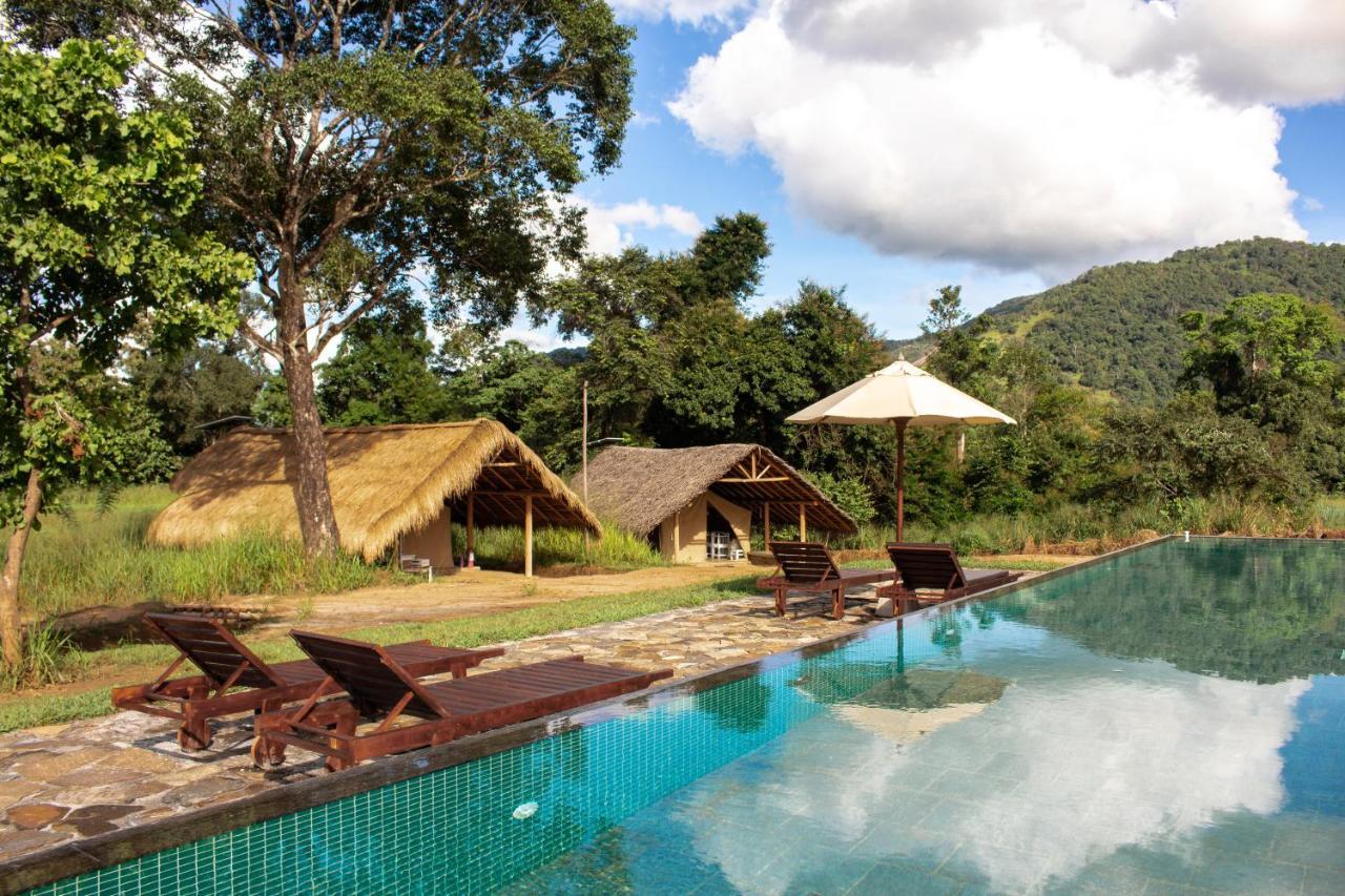 Hotel Wild Glamping Gal Oya - Thema Collection Galgamuwa  Zewnętrze zdjęcie