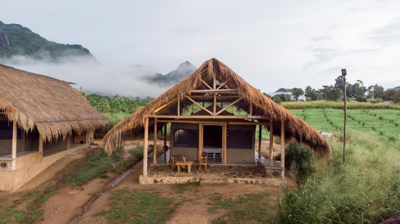 Hotel Wild Glamping Gal Oya - Thema Collection Galgamuwa  Zewnętrze zdjęcie